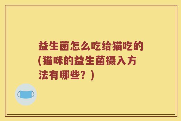 益生菌怎么吃给猫吃的(猫咪的益生菌摄入方法有哪些？)