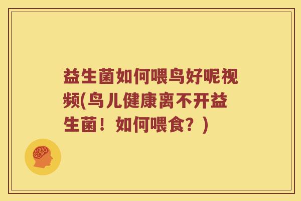 益生菌如何喂鸟好呢视频(鸟儿健康离不开益生菌！如何喂食？)