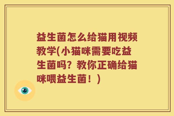 益生菌怎么给猫用视频教学(小猫咪需要吃益生菌吗？教你正确给猫咪喂益生菌！)