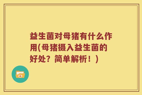 益生菌对母猪有什么作用(母猪摄入益生菌的好处？简单解析！)