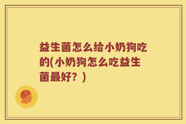 益生菌怎么给小奶狗吃的(小奶狗怎么吃益生菌最好？)