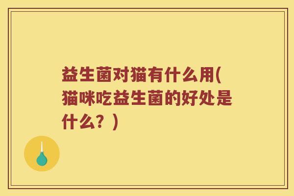 益生菌对猫有什么用(猫咪吃益生菌的好处是什么？)