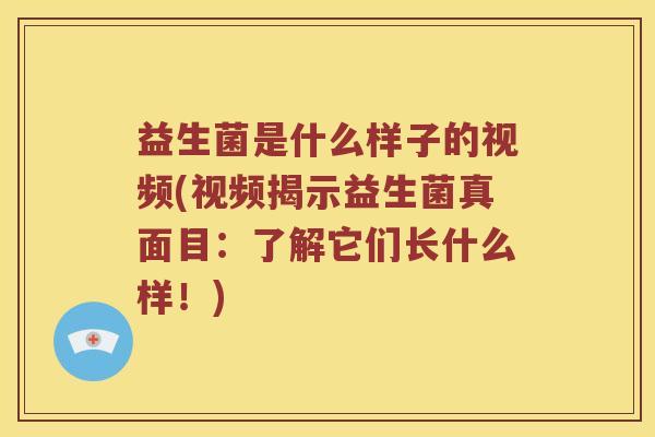 益生菌是什么样子的视频(视频揭示益生菌真面目：了解它们长什么样！)