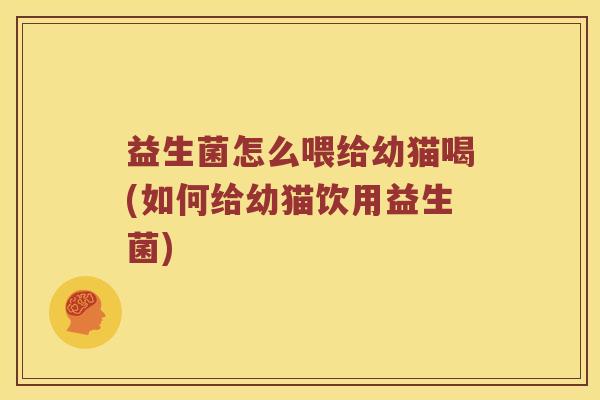 益生菌怎么喂给幼猫喝(如何给幼猫饮用益生菌)