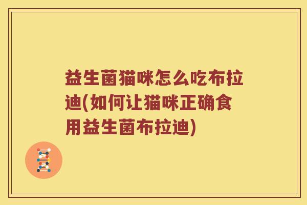 益生菌猫咪怎么吃布拉迪(如何让猫咪正确食用益生菌布拉迪)
