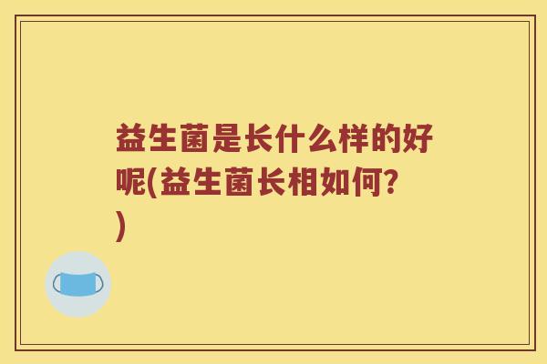 益生菌是长什么样的好呢(益生菌长相如何？)