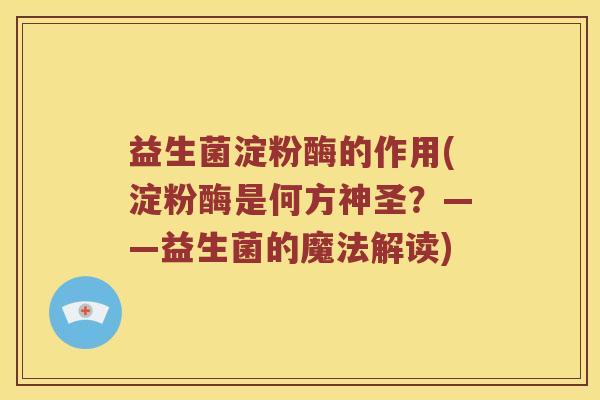 益生菌淀粉酶的作用(淀粉酶是何方神圣？——益生菌的魔法解读)