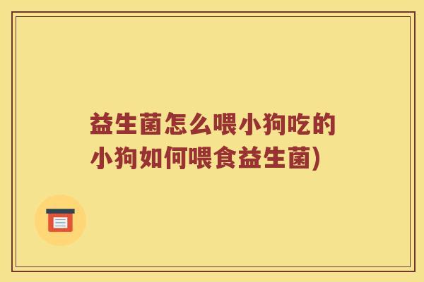 益生菌怎么喂小狗吃的小狗如何喂食益生菌)