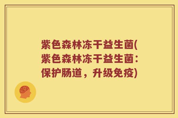 紫色森林冻干益生菌(紫色森林冻干益生菌：保护肠道，升级免疫)
