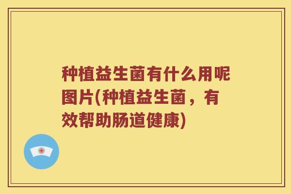 种植益生菌有什么用呢图片(种植益生菌，有效帮助肠道健康)