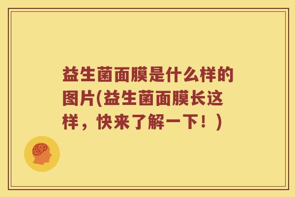 益生菌面膜是什么样的图片(益生菌面膜长这样，快来了解一下！)