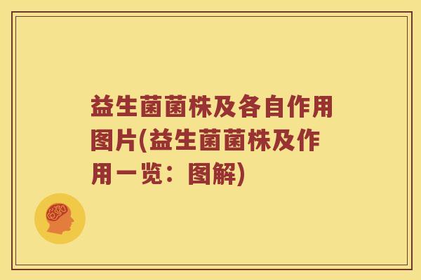 益生菌菌株及各自作用图片(益生菌菌株及作用一览：图解)