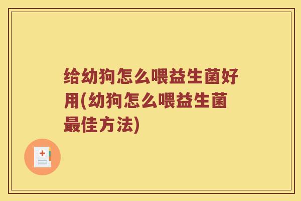 给幼狗怎么喂益生菌好用(幼狗怎么喂益生菌最佳方法)