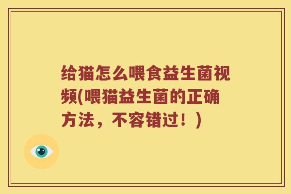 给猫怎么喂食益生菌视频(喂猫益生菌的正确方法，不容错过！)