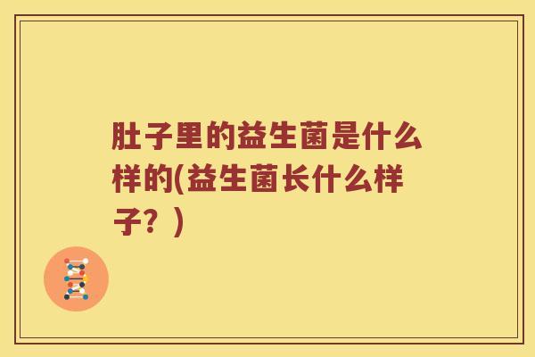 肚子里的益生菌是什么样的(益生菌长什么样子？)