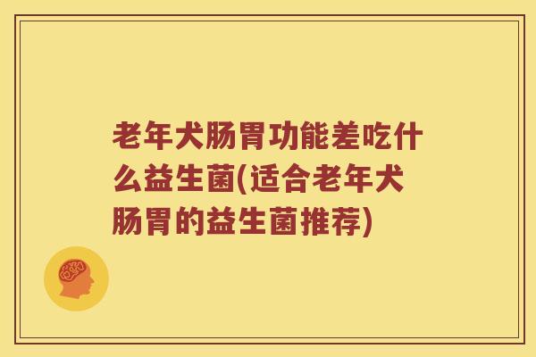 老年犬肠胃功能差吃什么益生菌(适合老年犬肠胃的益生菌推荐)