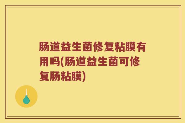 肠道益生菌修复粘膜有用吗(肠道益生菌可修复肠粘膜)