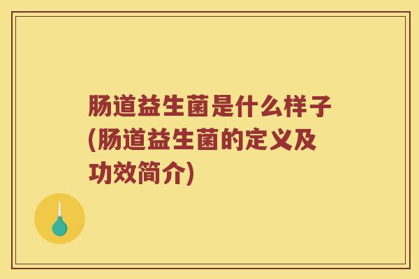 肠道益生菌是什么样子(肠道益生菌的定义及功效简介)