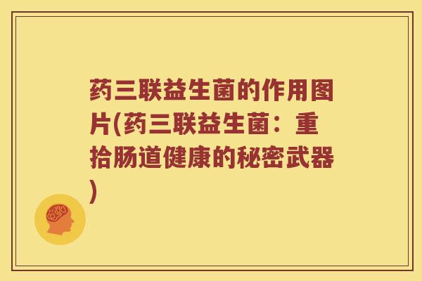 药三联益生菌的作用图片(药三联益生菌:重拾肠道健康的秘密武器) 药三联益生菌的作用图片(药三联益生菌:重拾肠道健康的秘密武器)