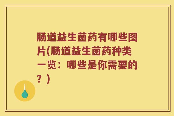 肠道益生菌药有哪些图片(肠道益生菌药种类一览：哪些是你需要的？)