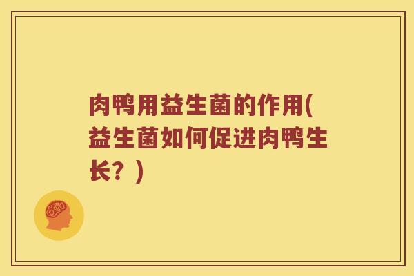肉鸭用益生菌的作用(益生菌如何促进肉鸭生长？)