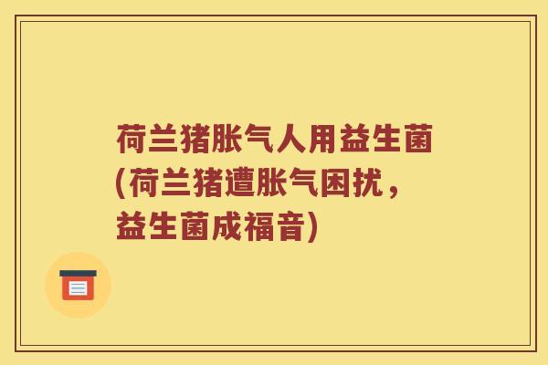 荷兰猪胀气人用益生菌(荷兰猪遭胀气困扰，益生菌成福音)