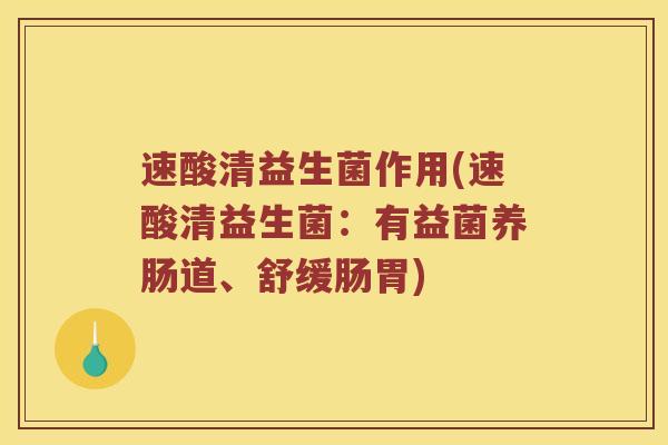 速酸清益生菌作用(速酸清益生菌：有益菌养肠道、舒缓肠胃)