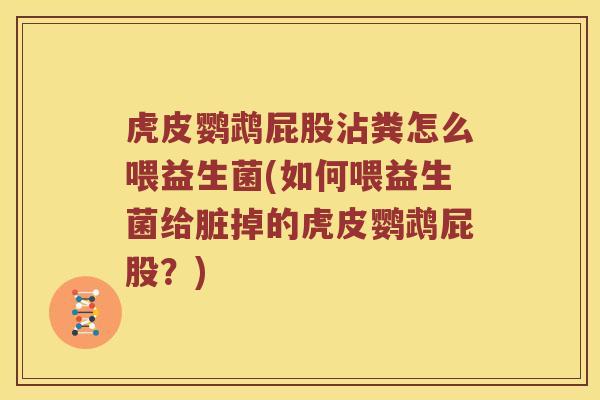 虎皮鹦鹉屁股沾粪怎么喂益生菌(如何喂益生菌给脏掉的虎皮鹦鹉屁股？)