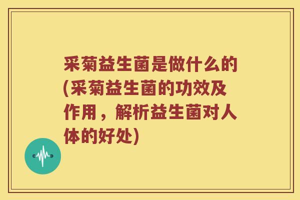 采菊益生菌是做什么的(采菊益生菌的功效及作用，解析益生菌对人体的好处)