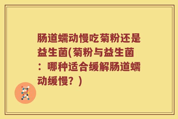 肠道蠕动慢吃菊粉还是益生菌(菊粉与益生菌:哪种适合缓解肠道蠕动缓慢?) 肠道蠕动慢吃菊粉还是益生菌(菊粉与益生菌:哪种适合缓解肠道蠕动缓慢?)
