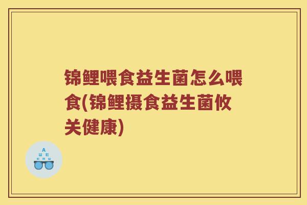 锦鲤喂食益生菌怎么喂食(锦鲤摄食益生菌攸关健康)