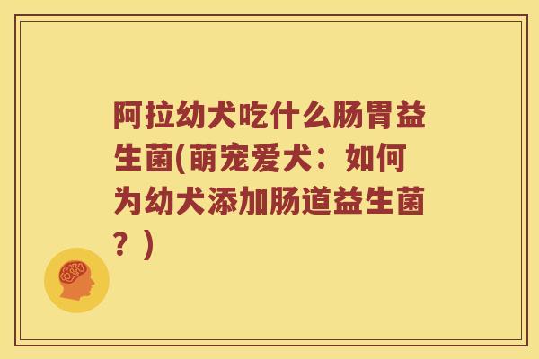 阿拉幼犬吃什么肠胃益生菌(萌宠爱犬：如何为幼犬添加肠道益生菌？)