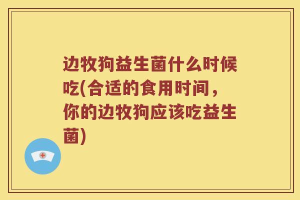 边牧狗益生菌什么时候吃(合适的食用时间，你的边牧狗应该吃益生菌)
