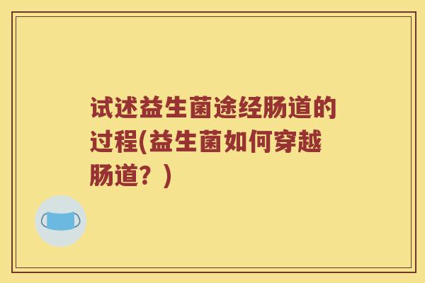 试述益生菌途经肠道的过程(益生菌如何穿越肠道？)