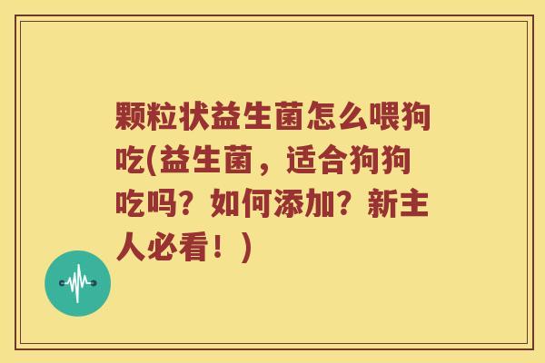颗粒状益生菌怎么喂狗吃(益生菌，适合狗狗吃吗？如何添加？新主人必看！)