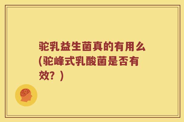 驼乳益生菌真的有用么(驼峰式乳酸菌是否有效？)
