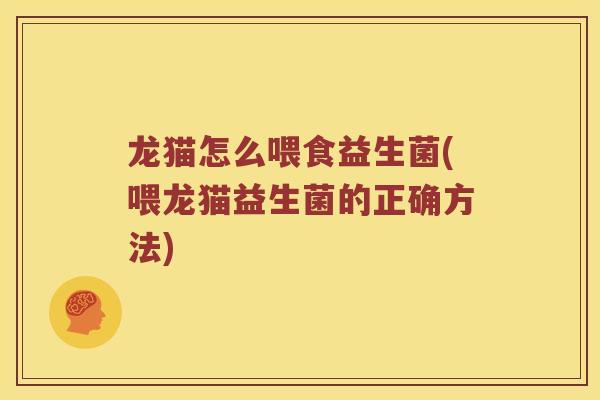 龙猫怎么喂食益生菌(喂龙猫益生菌的正确方法)