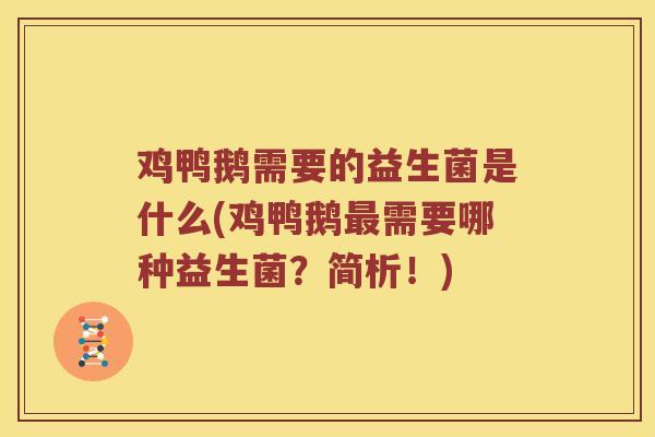 鸡鸭鹅需要的益生菌是什么(鸡鸭鹅需要哪种益生菌？简析！)