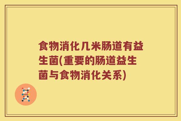 食物消化几米肠道有益生菌(重要的肠道益生菌与食物消化关系)