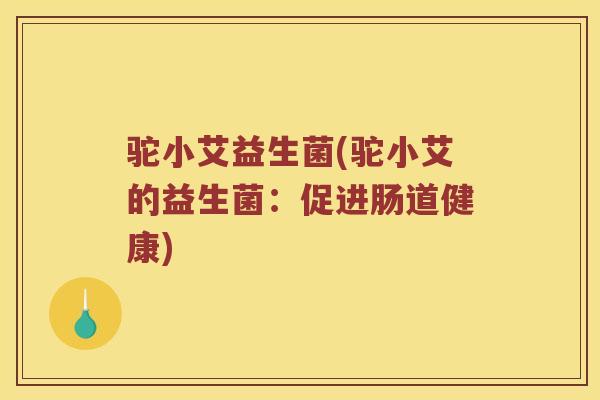驼小艾益生菌(驼小艾的益生菌：促进肠道健康)