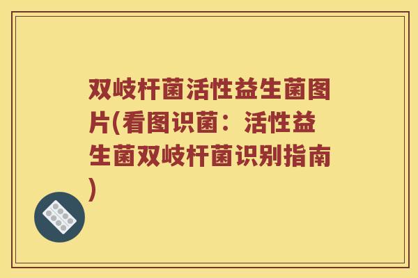 双岐杆菌活性益生菌图片(看图识菌：活性益生菌双岐杆菌识别指南)