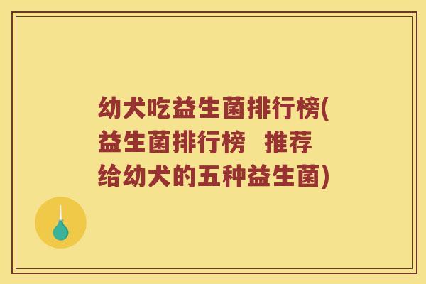 幼犬吃益生菌排行榜(益生菌排行榜  推荐给幼犬的五种益生菌)