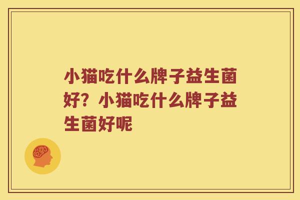 小猫吃什么牌子益生菌好？小猫吃什么牌子益生菌好呢
