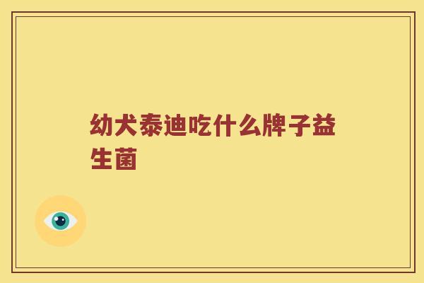 幼犬泰迪吃什么牌子益生菌