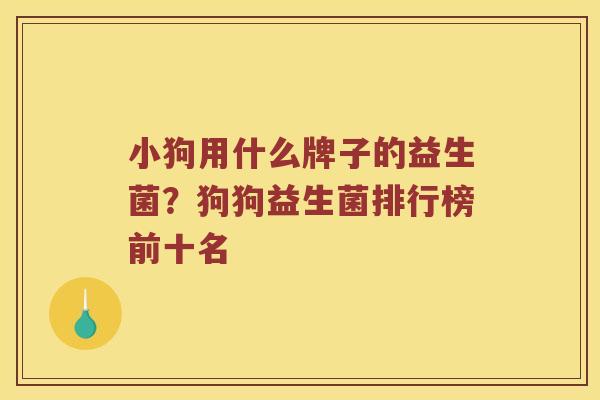 小狗用什么牌子的益生菌?狗狗益生菌排行榜前十名 小狗用什么牌子的益生菌?狗狗益生菌排行榜前十名