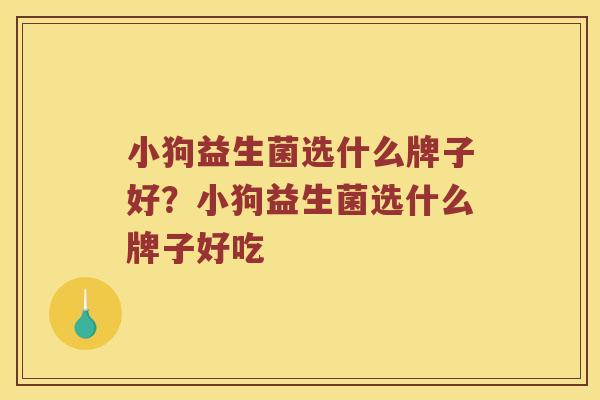 小狗益生菌选什么牌子好？小狗益生菌选什么牌子好吃