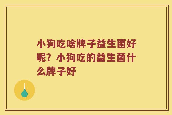 小狗吃啥牌子益生菌好呢？小狗吃的益生菌什么牌子好