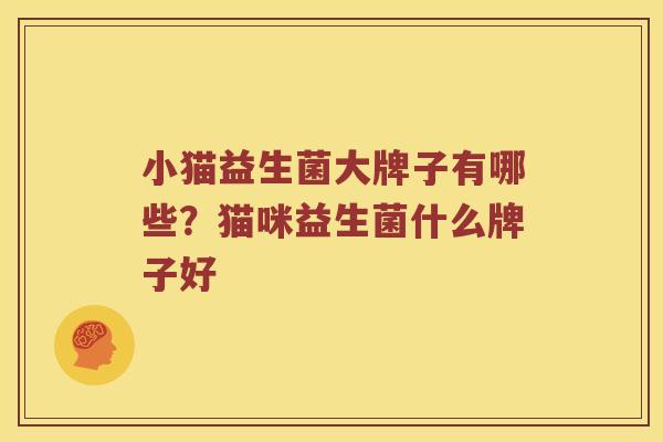 小猫益生菌大牌子有哪些？猫咪益生菌什么牌子好