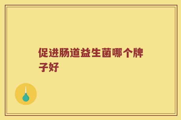 促进肠道益生菌哪个牌子好