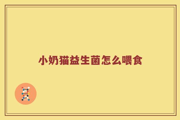 小奶猫益生菌怎么喂食